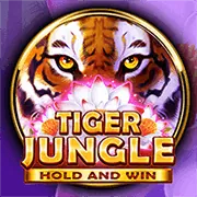 Slot game phiêu lưu rừng xanh
